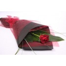 One Rose