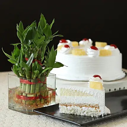 Pineapple Cake and Lucky Bamboo plant
