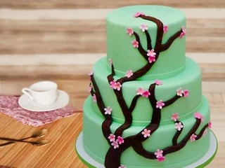 Nurturing Fondant Cake