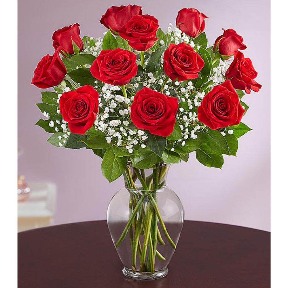 Elegance Premium red rose