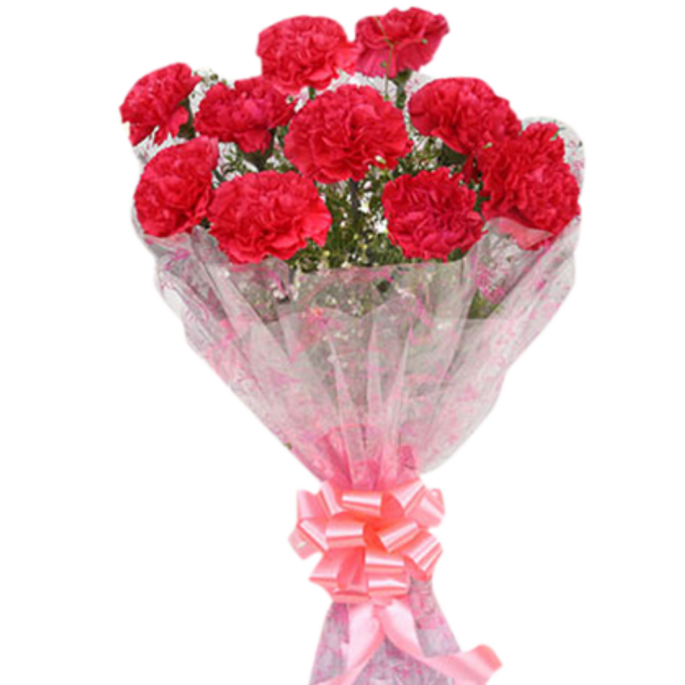 12 Red carnation bouquet