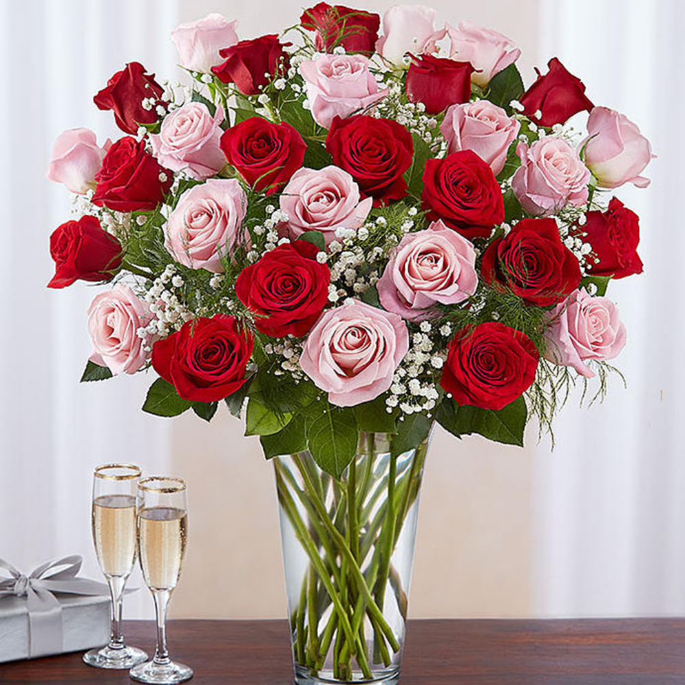 3 Dozen pink and red rose vase