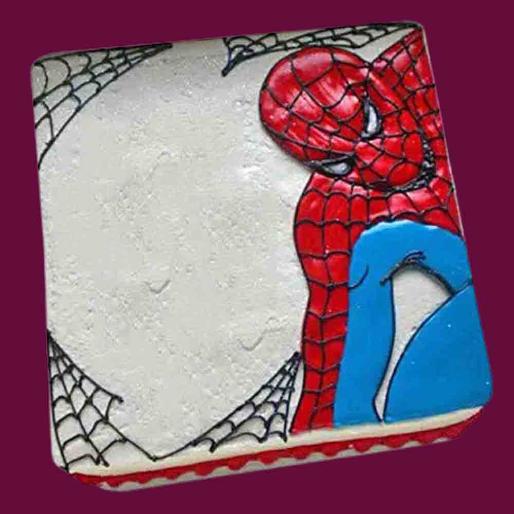 Web of Spiderman Cake