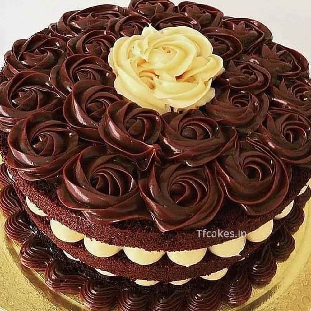 Chocolate Chesse Cake