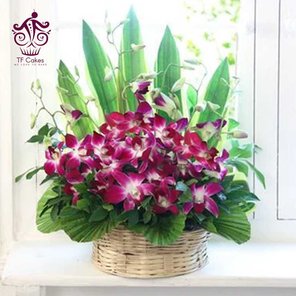 Arrangement of Purple Orchids