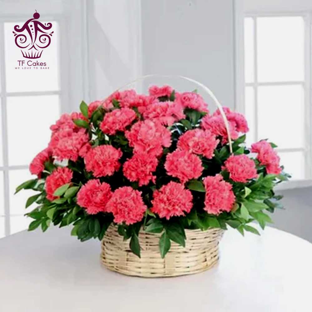 Lovely Pink Carnations