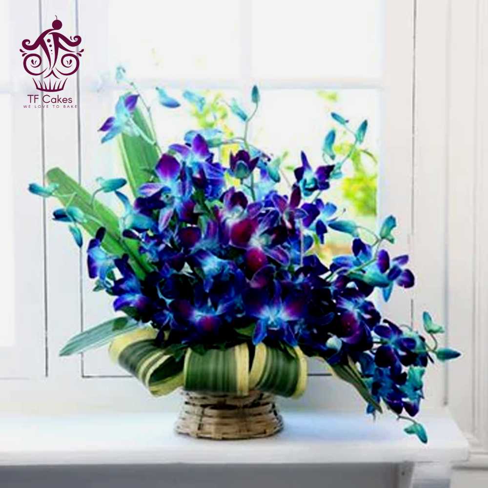 Ten Magnificent Blue Orchids