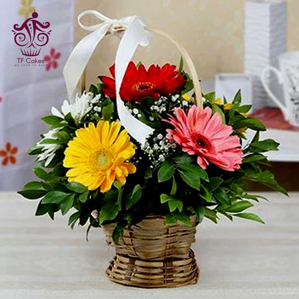 6 Mix Gerbera Basket