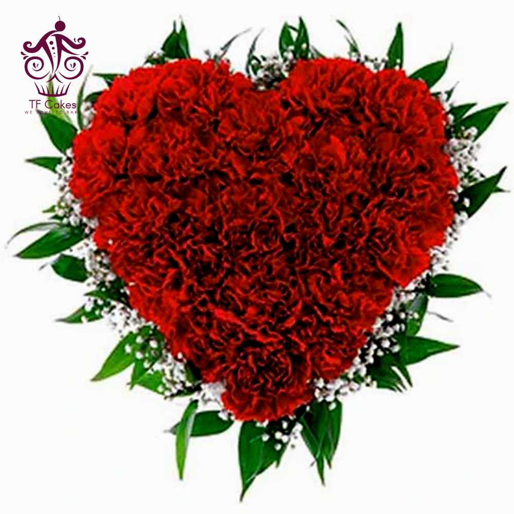 Red Carnations Beautifully Arranged