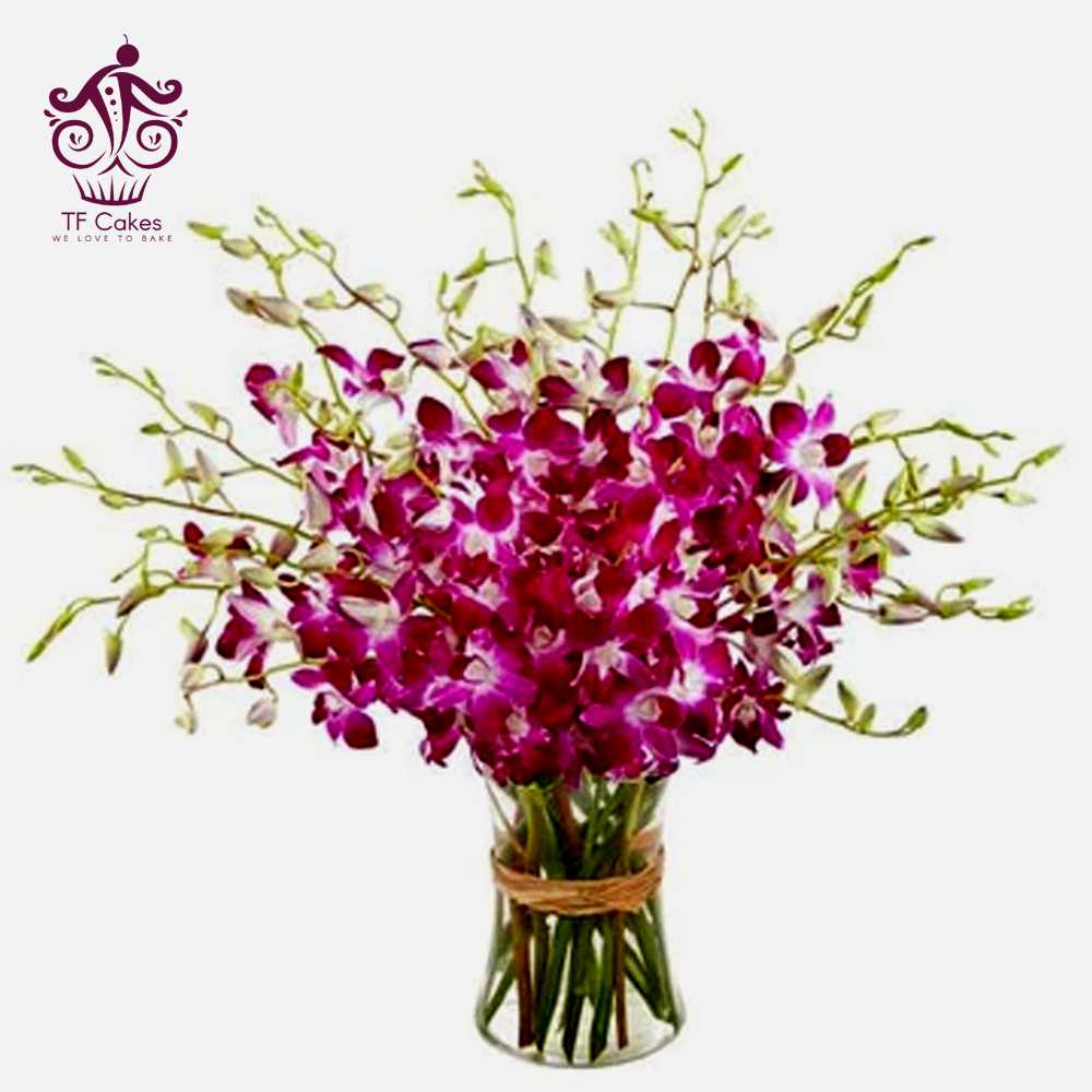 Dendrobium Pink Bouquet