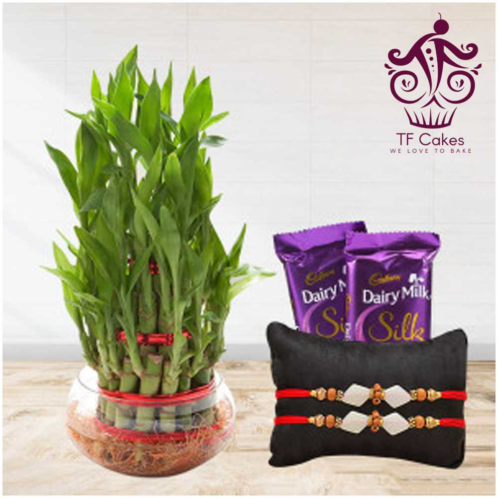 Rakhi With Lucky Bamboo & Dairy Milk Silk